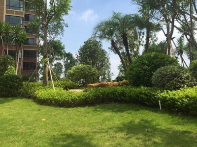 上海市城市总体规划 生态环境为城市发展的红/底线